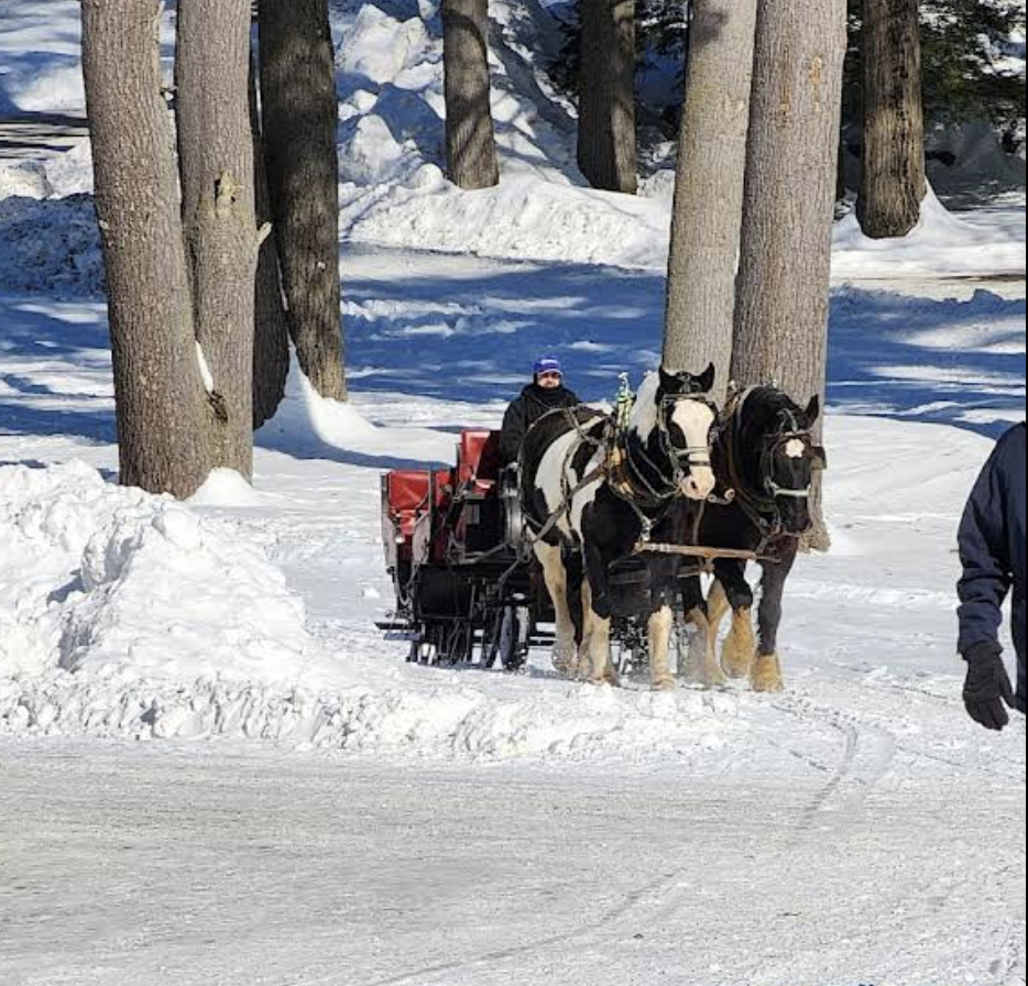 Ridin-Hy Ranch photo 3